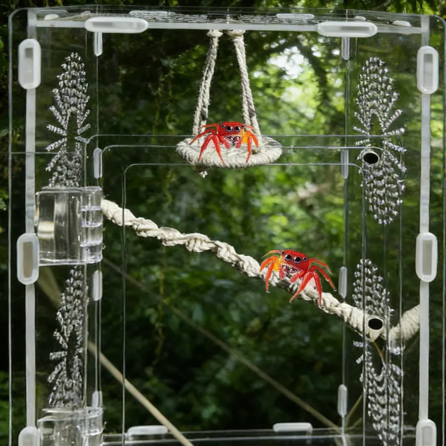 TaranTerra medium clear acrylic tarantula enclosure with magnetic front door