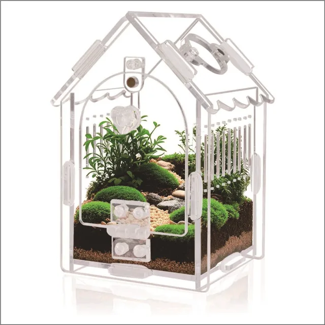 TaranTerra House Small, clear acrylic display enclosure with a single hinged flip door