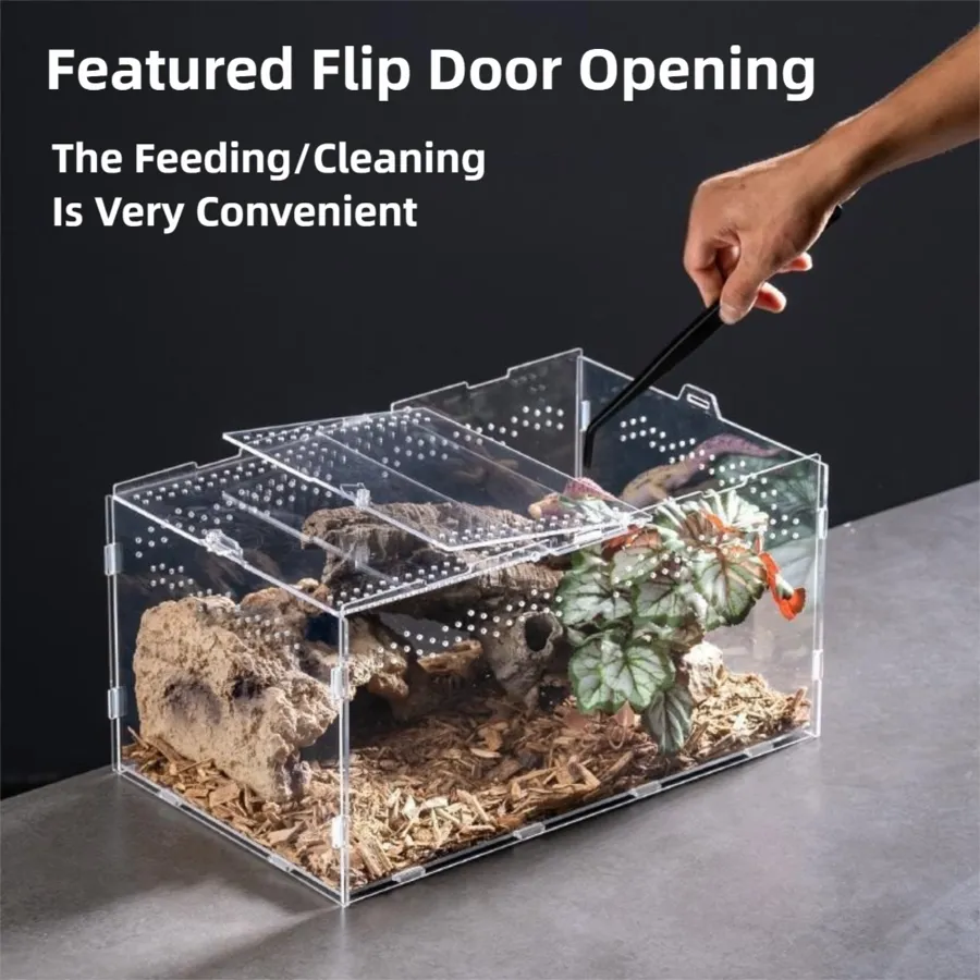 Close-up of the TaranTerra House hinged flip door open for feeding and cleaning