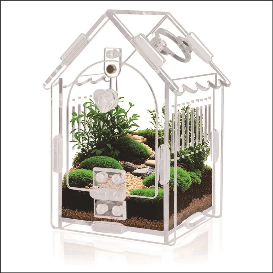 TaranTerra House display enclosure planted with moss holding a tarantula sling on the substrate