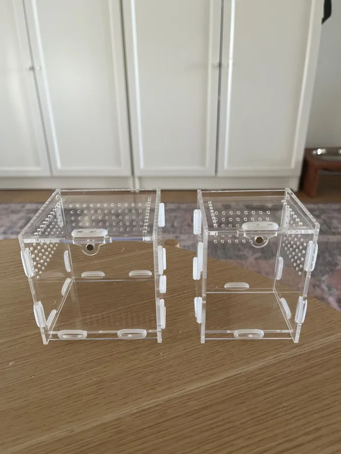 TaranTerra acrylic enclosure photographed by Sophie K., a verified buyer