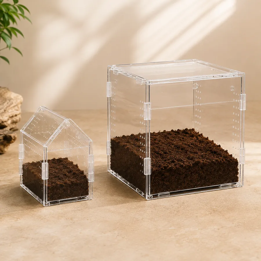 A TaranTerra sling home beside the next acrylic size up, the step a growing juvenile moves into